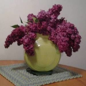 Meet your Posher, Dale